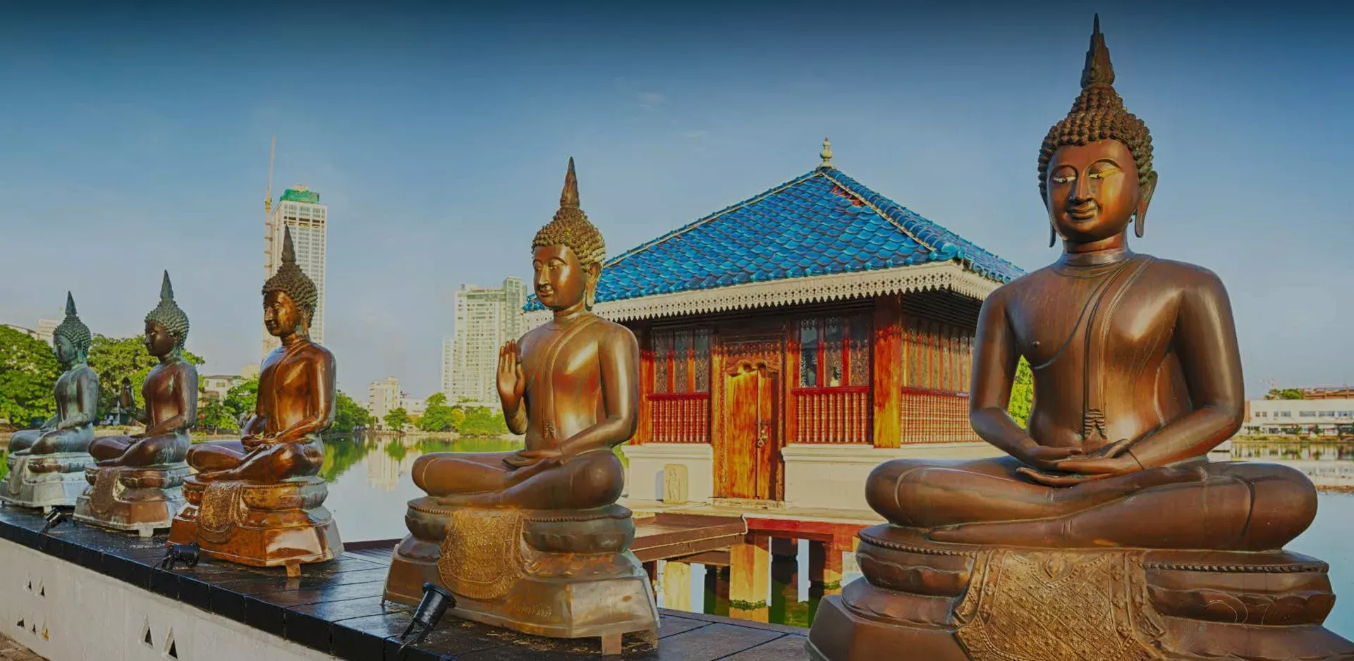 Pessoa em camelo no deserto