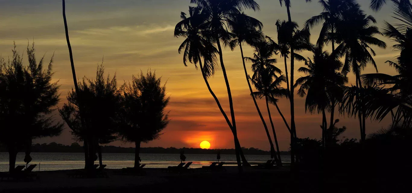 Pessoa em camelo no deserto
