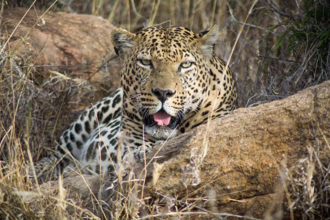 Pessoa em camelo no deserto