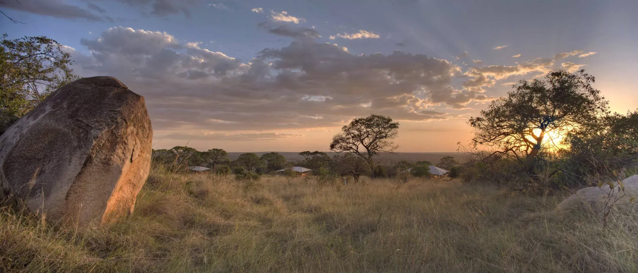 Serengeti Bushtops