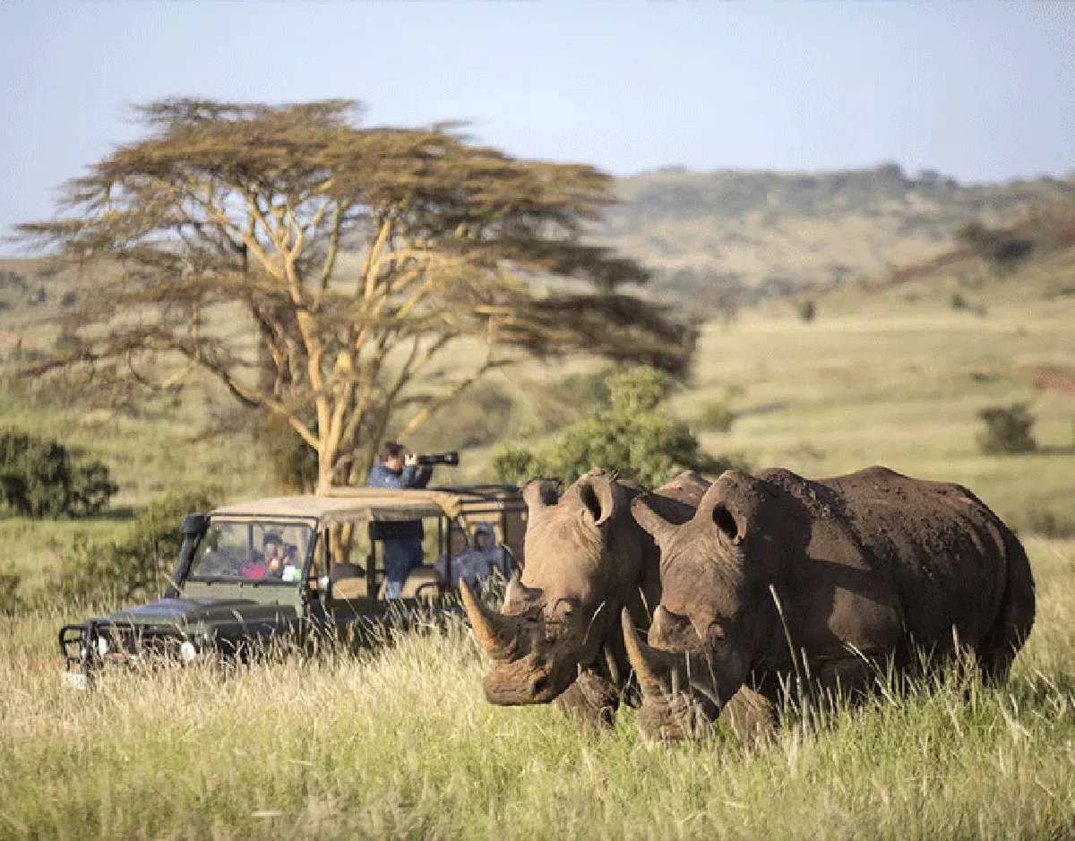 Pessoa em camelo no deserto