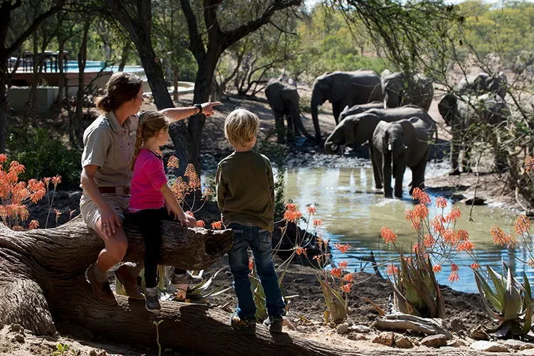 Safari Wild Child Adventure - Luxury