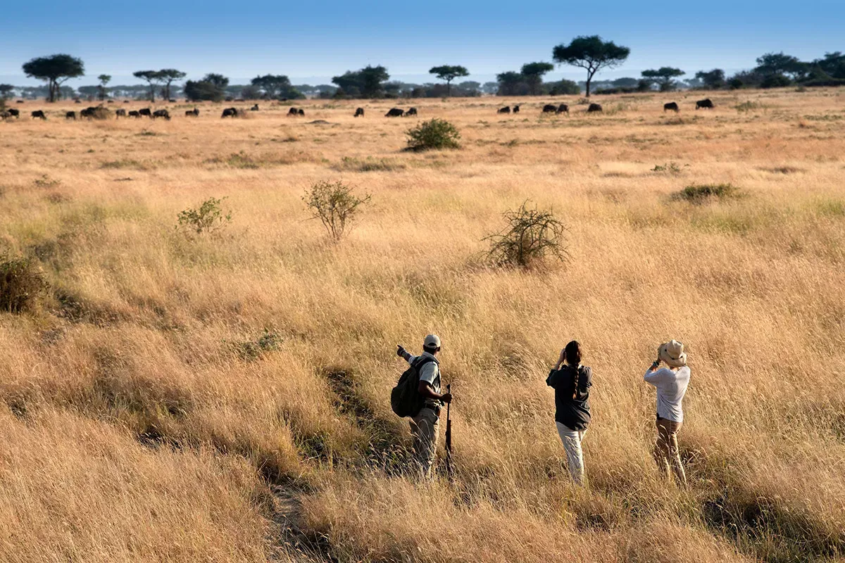 Safari África Oriental andBeyond