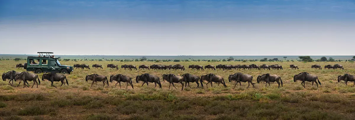 Safari África Oriental andBeyond