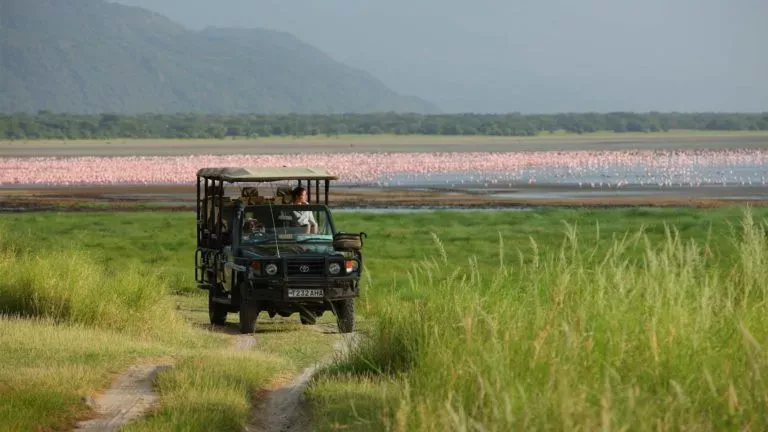 Tanzania Safari