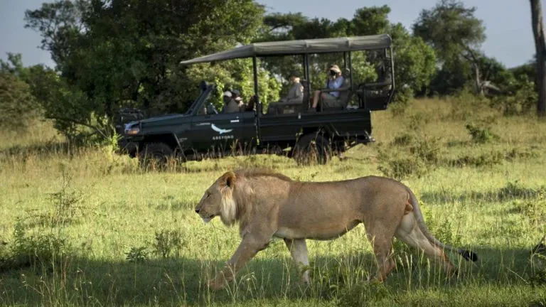 Tanzania Safari