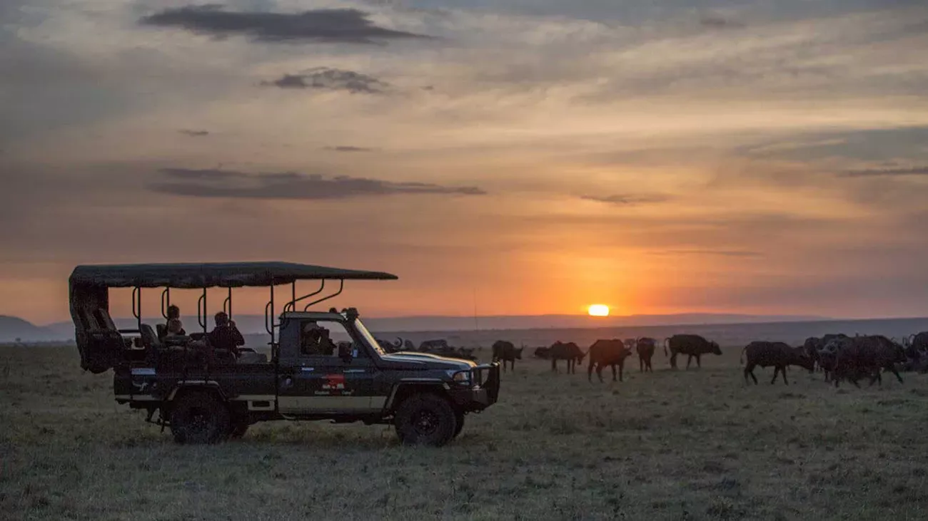 Safári no Elephant Pepper Camp