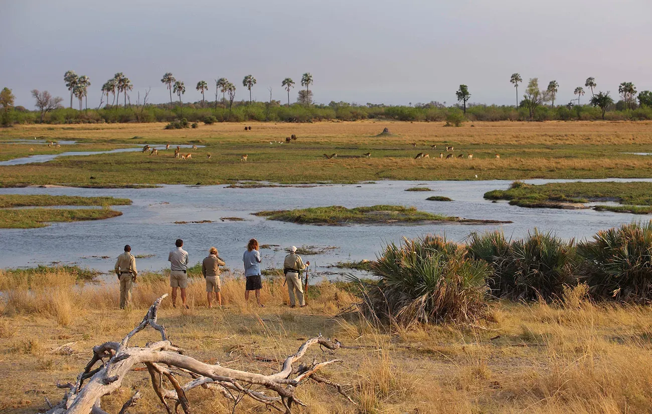 Zimbábue e Botswana Deluxe com Victoria Falls & Highlights