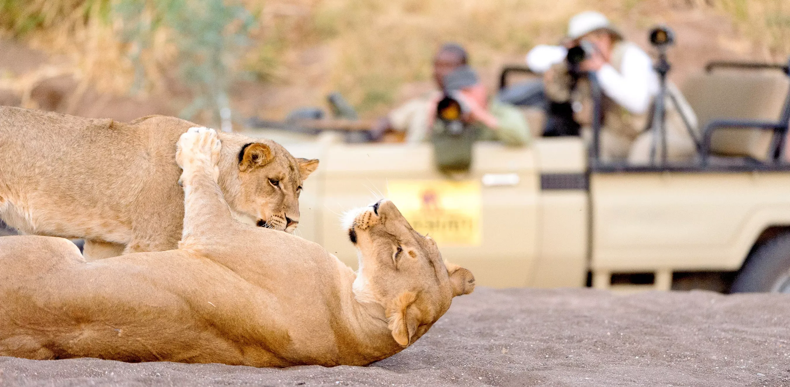 Sweet Taste of Botswana