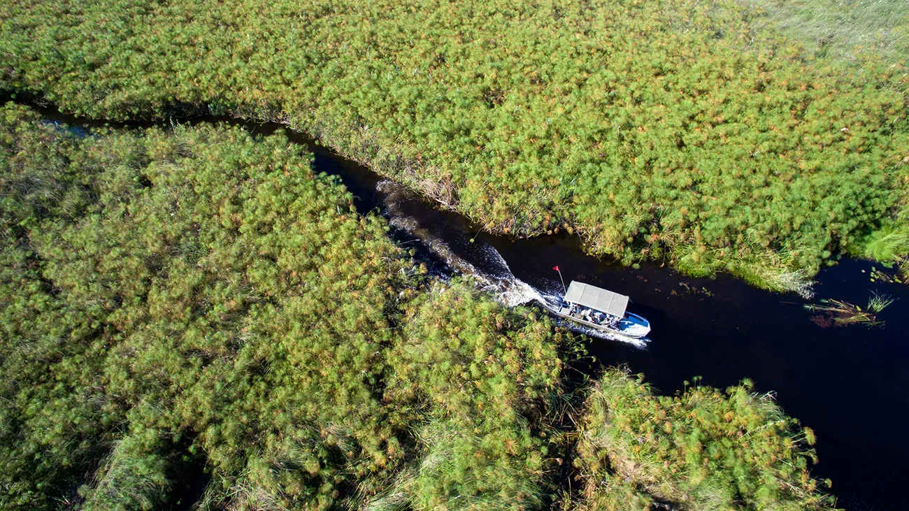 Botswana e Zâmbia os Santuários da África Austral