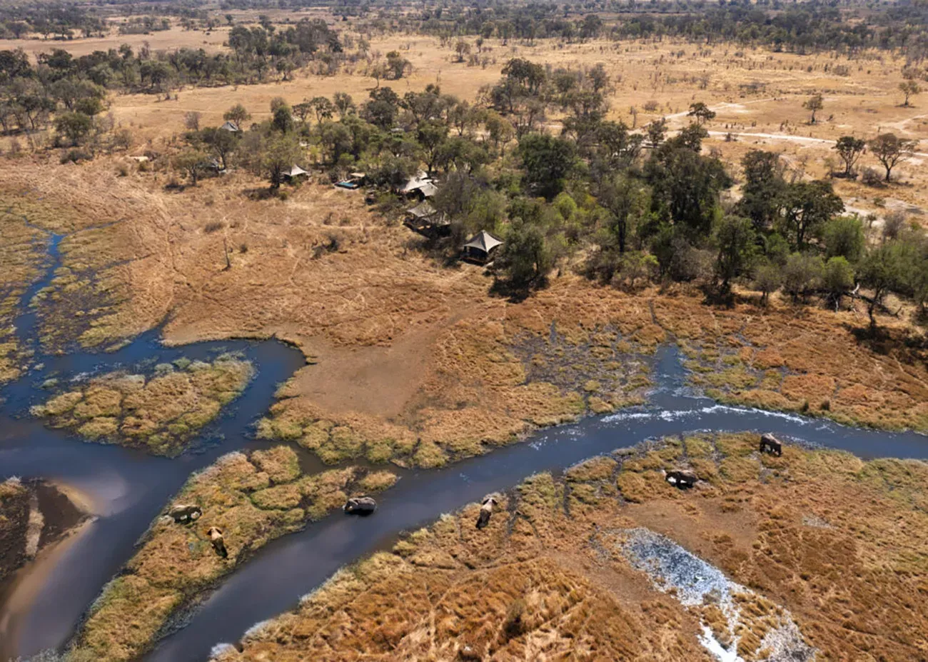 Safari de Luxo em Cataratas Vitória e Delta do Okavango