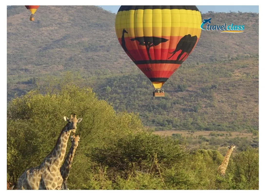 Sun City and Safari Experience