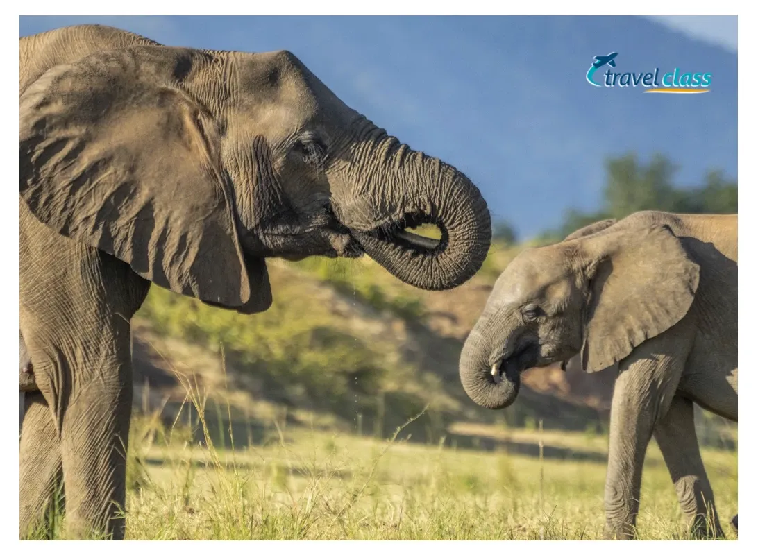 Garden Route & Grape tour