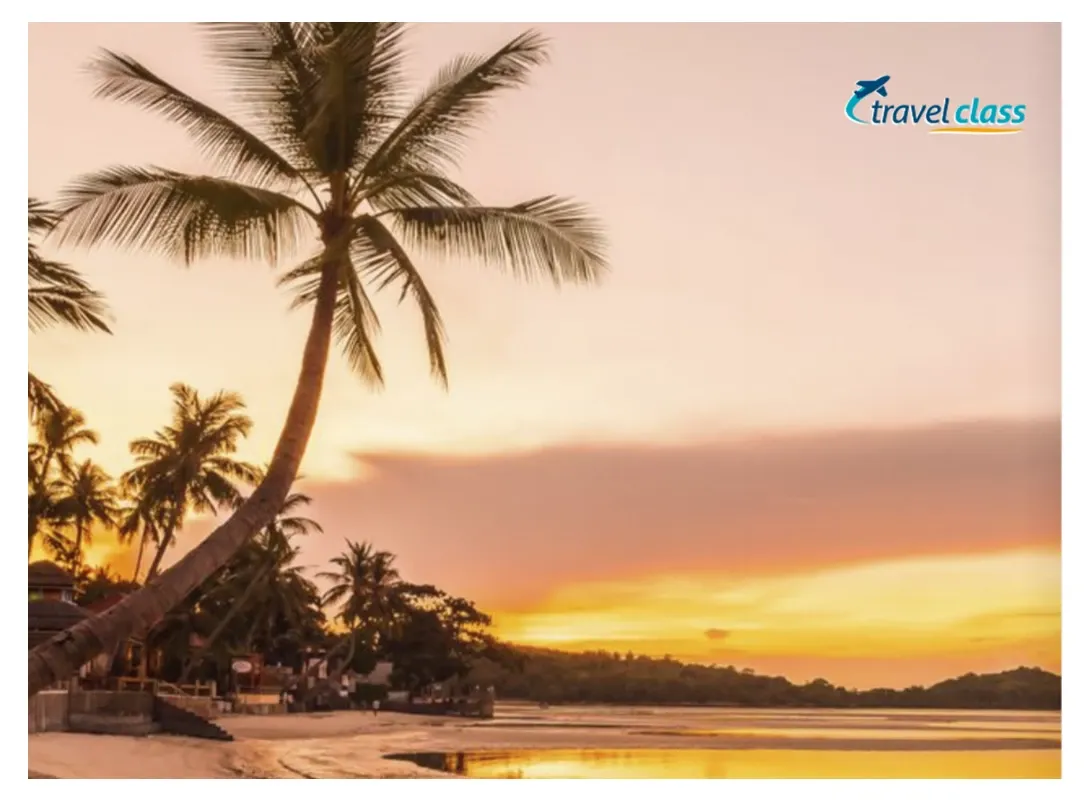 Pessoa em camelo no deserto