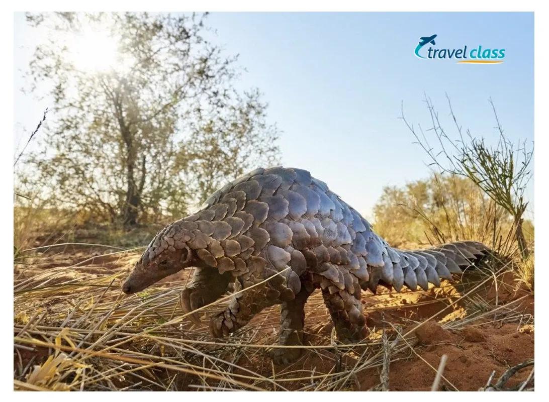 Discovering Mpumalanga