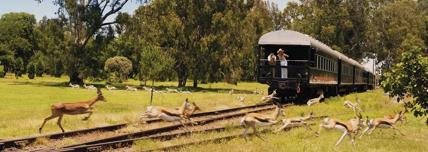 A bordo do Rovos Rail