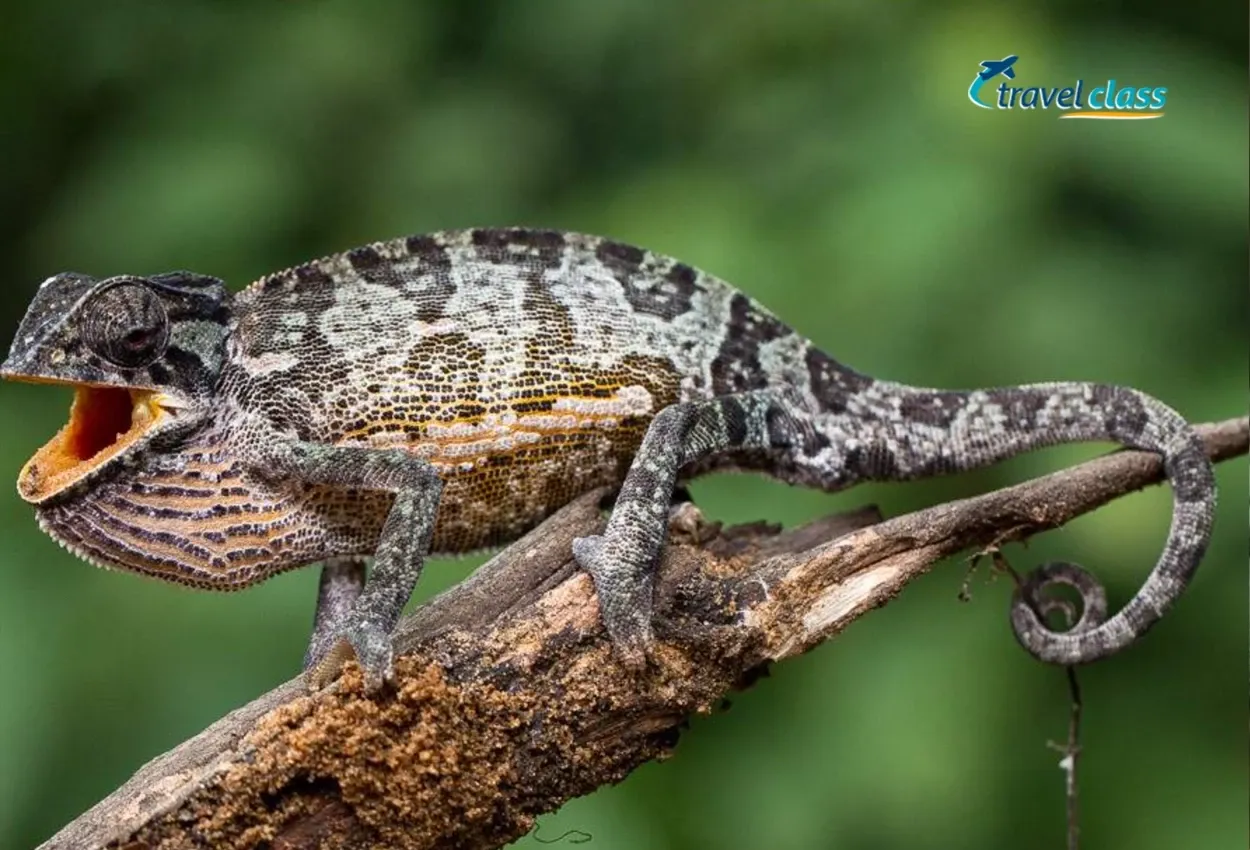 Pessoa em camelo no deserto