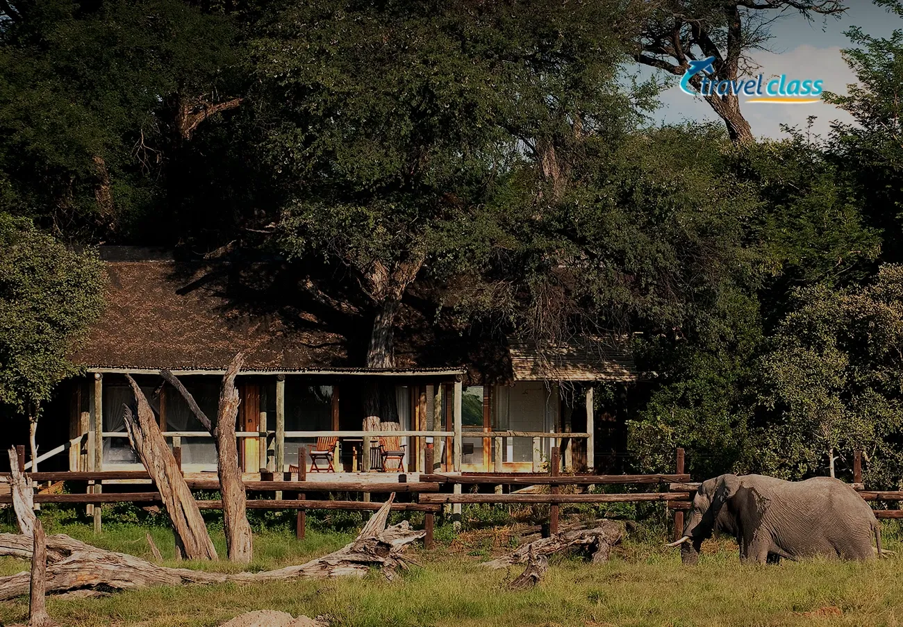 Pessoa em camelo no deserto