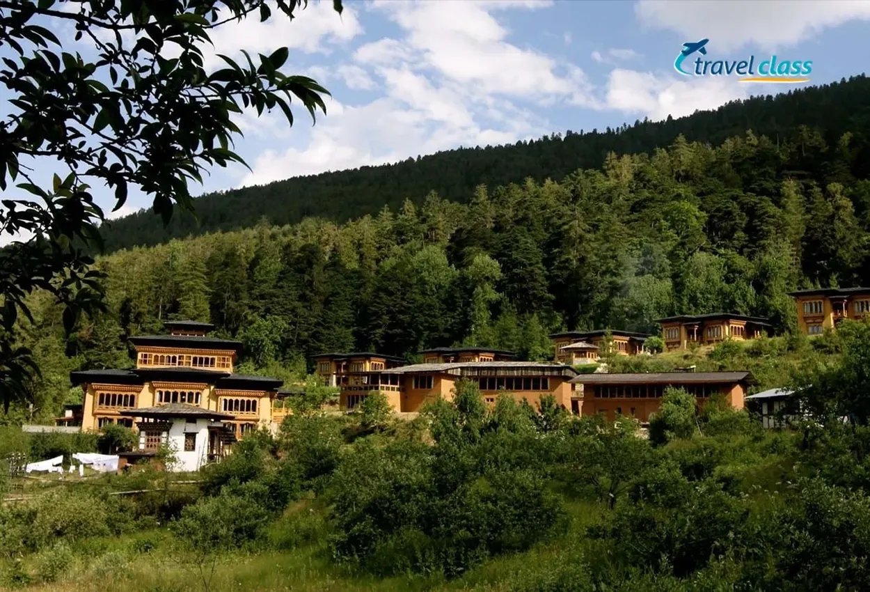 Pessoa em camelo no deserto