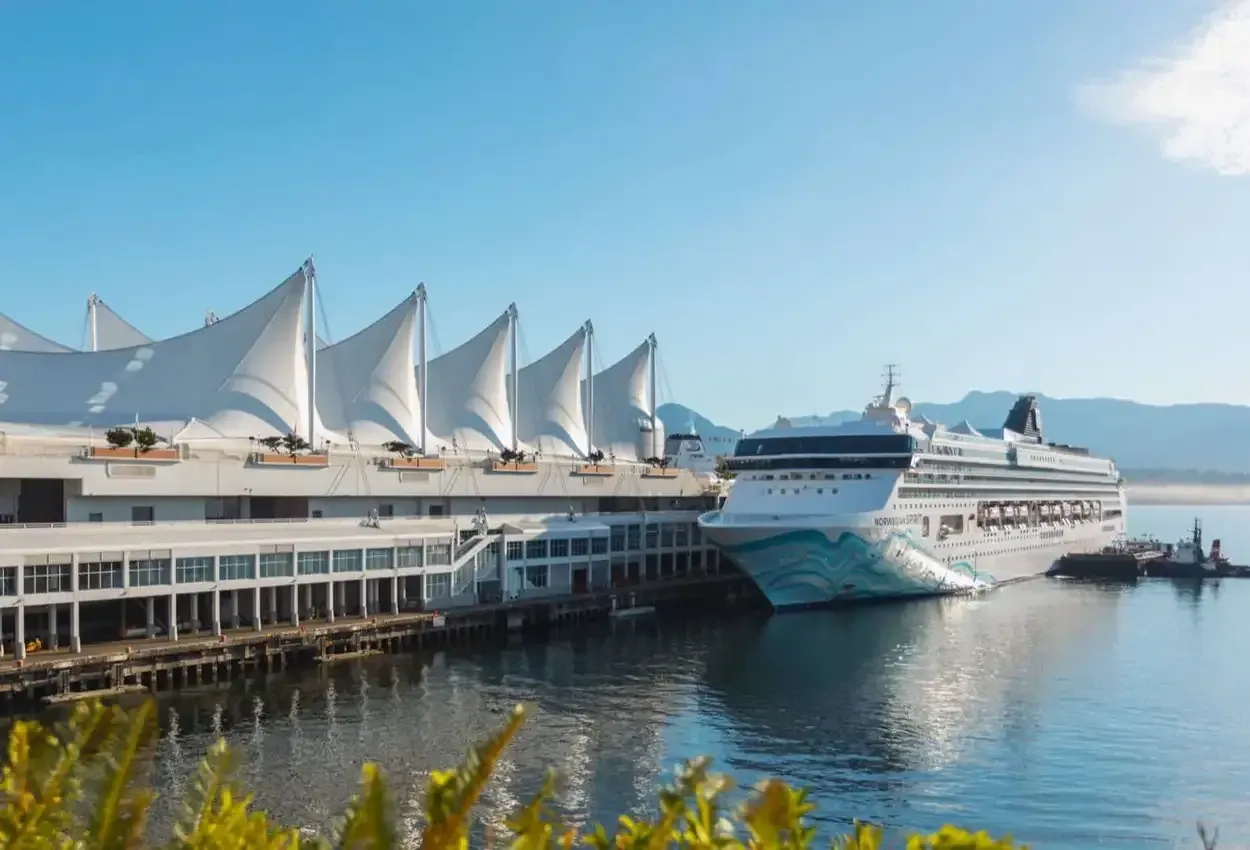 Pessoa em camelo no deserto