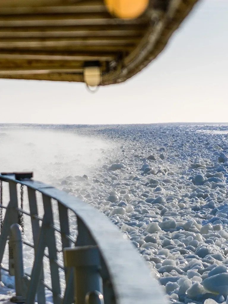 Pessoa em camelo no deserto