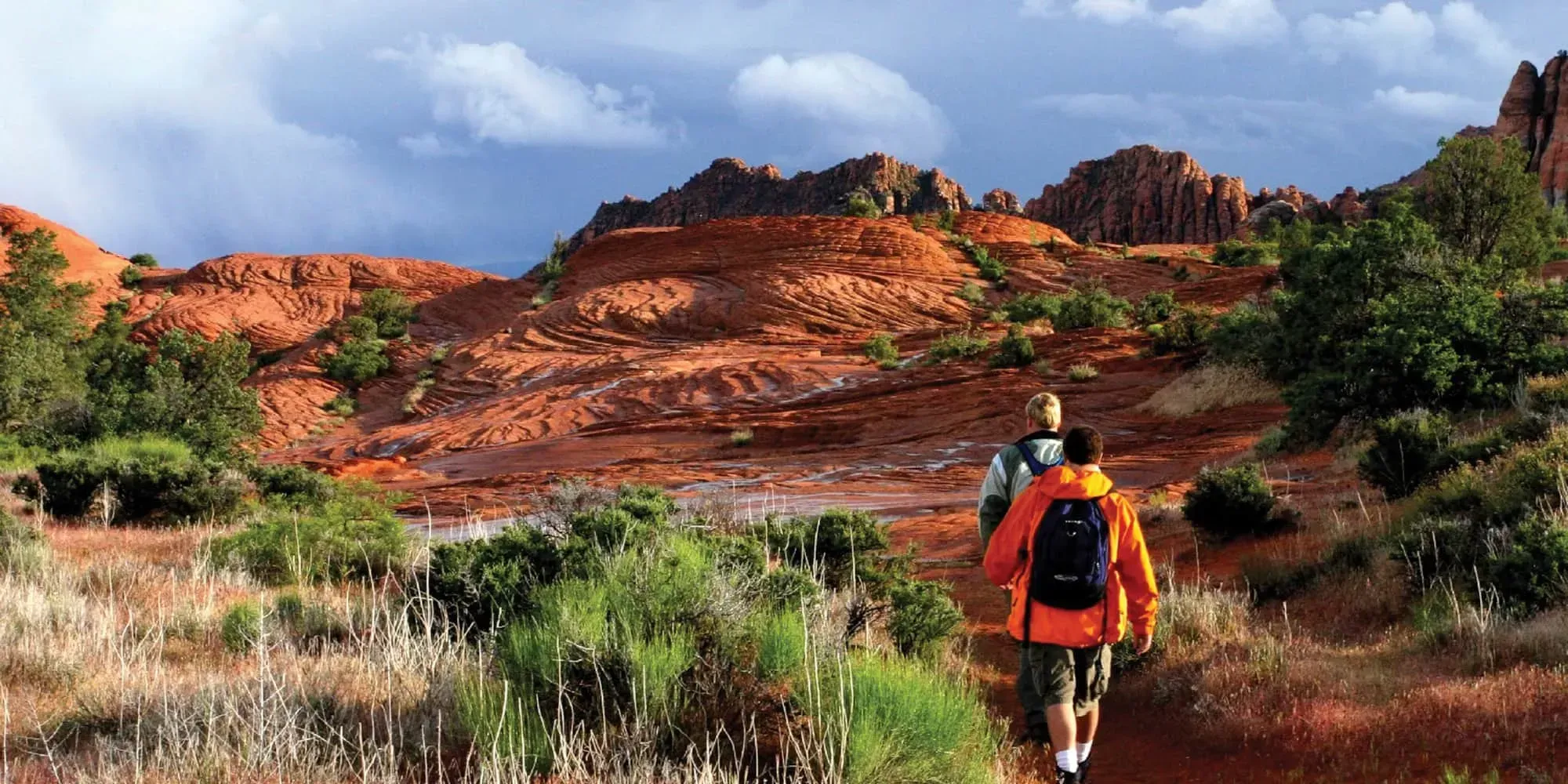 National Park Discovery - Partindo de Los Angeles