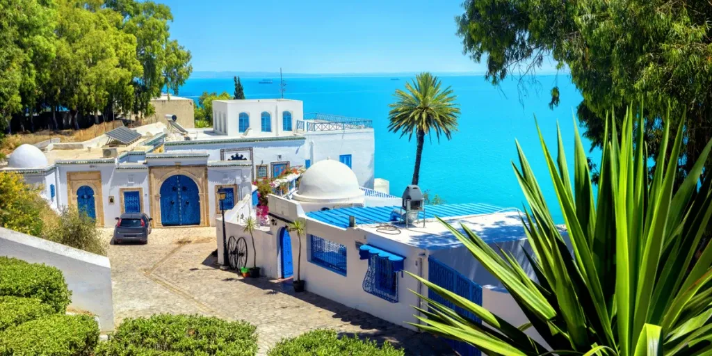 Tunísia Exótica Top Deluxe