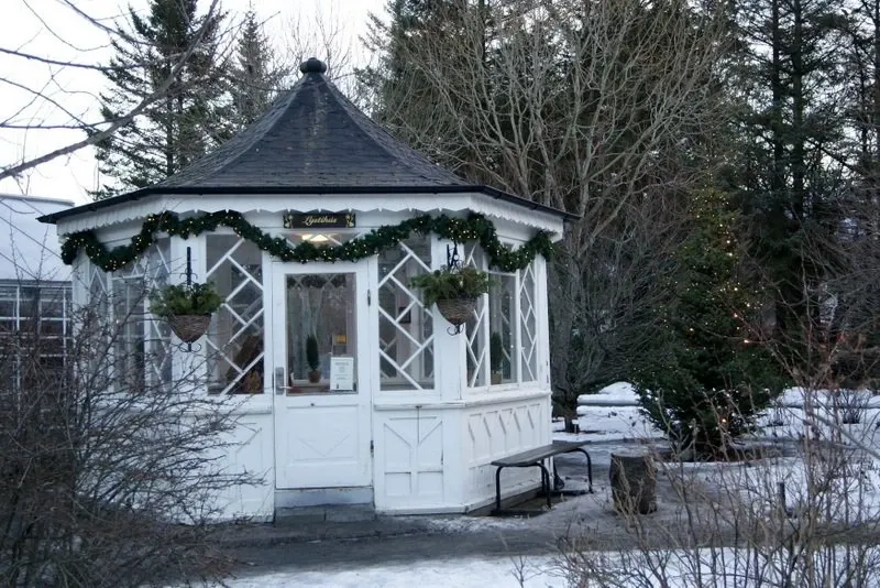 Aventura das Auroras Boreais no Ano Novo