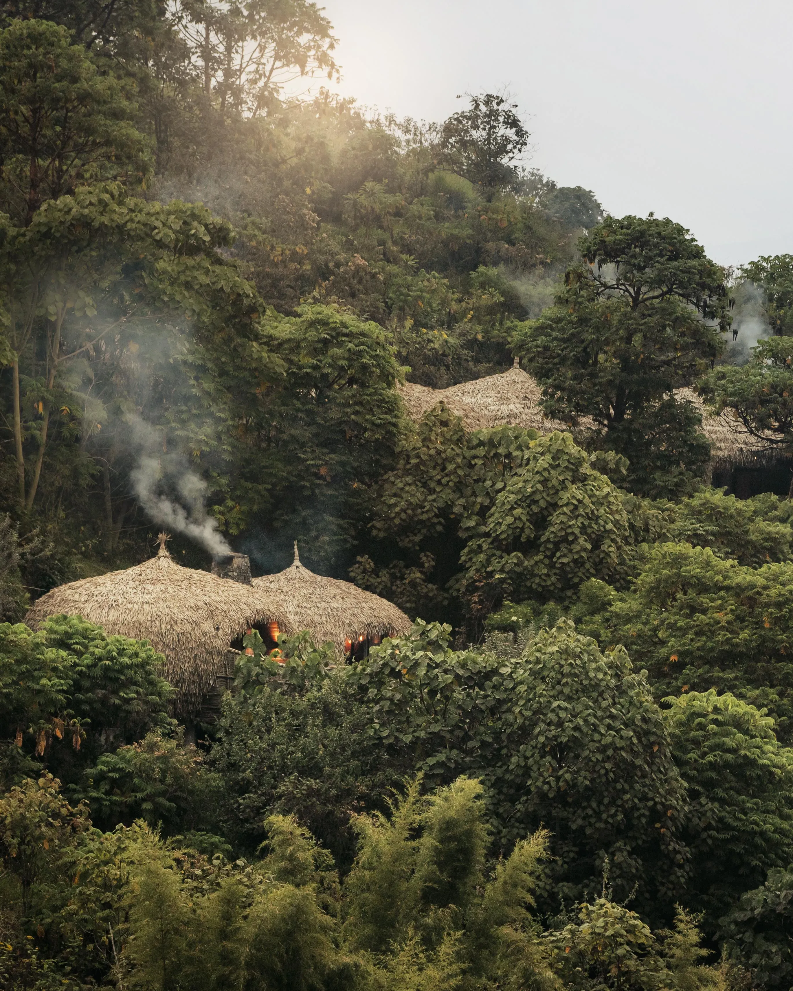 ruanda-hut-arvores