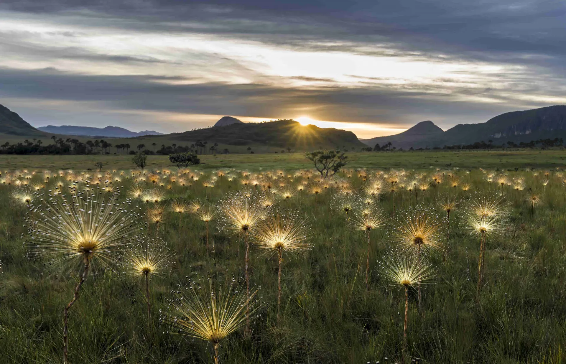 Pessoa em camelo no deserto