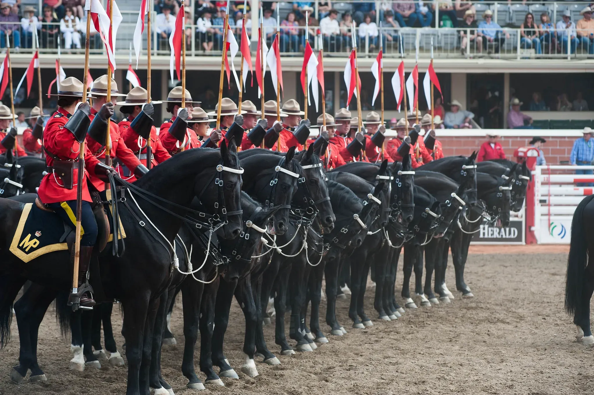 Especial Calgary Stampede