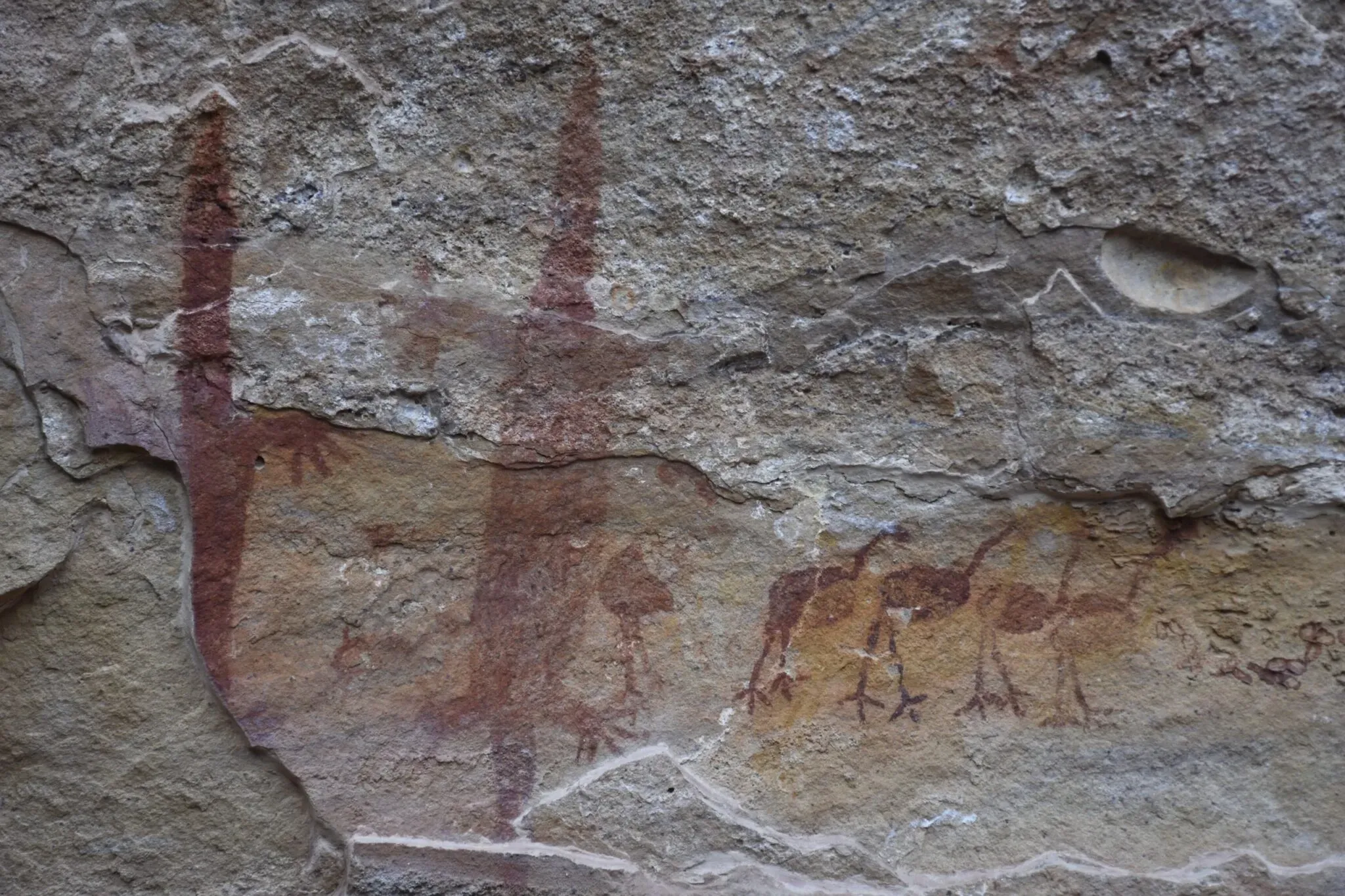 Pessoa em camelo no deserto