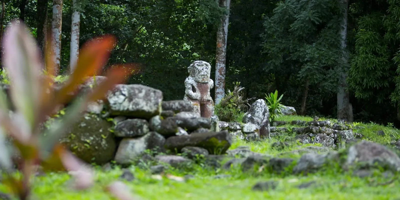 Polynesian Spirit