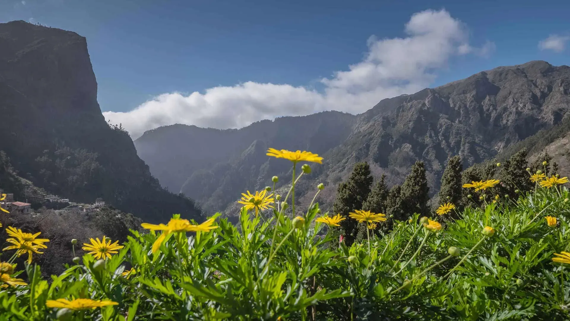 Madeira e Lisboa