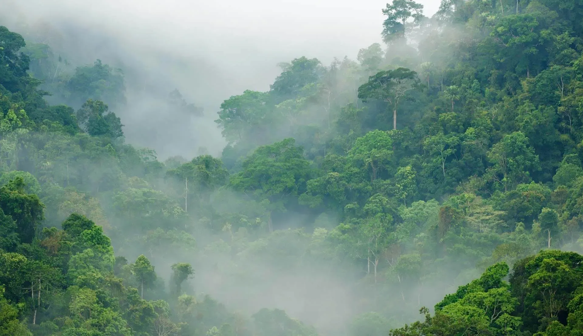 Costa Rica Gardens