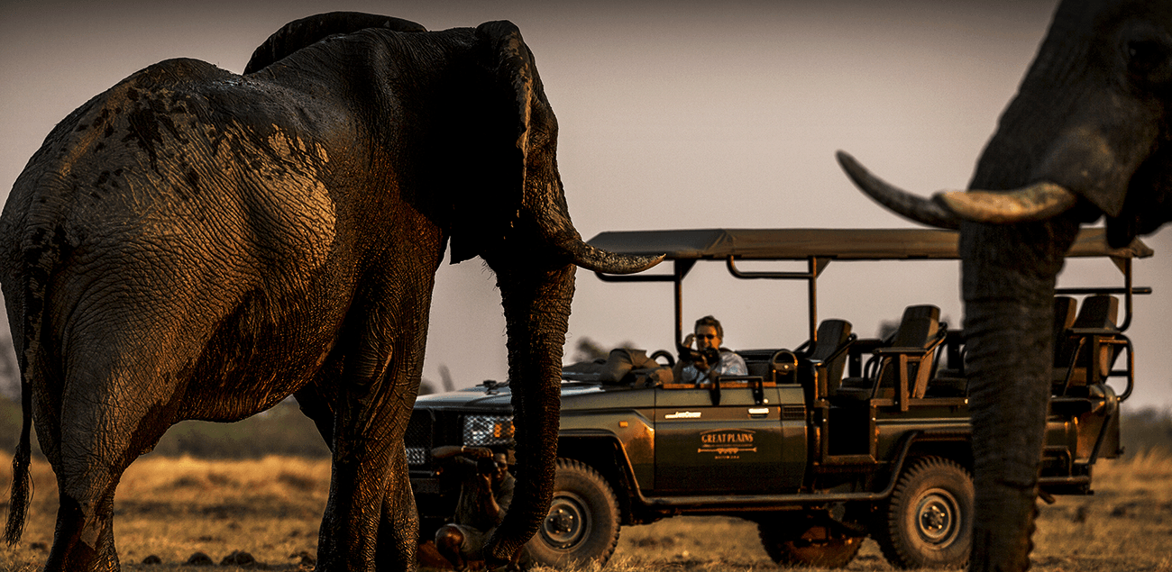 Botswana by Great Plains Conservation