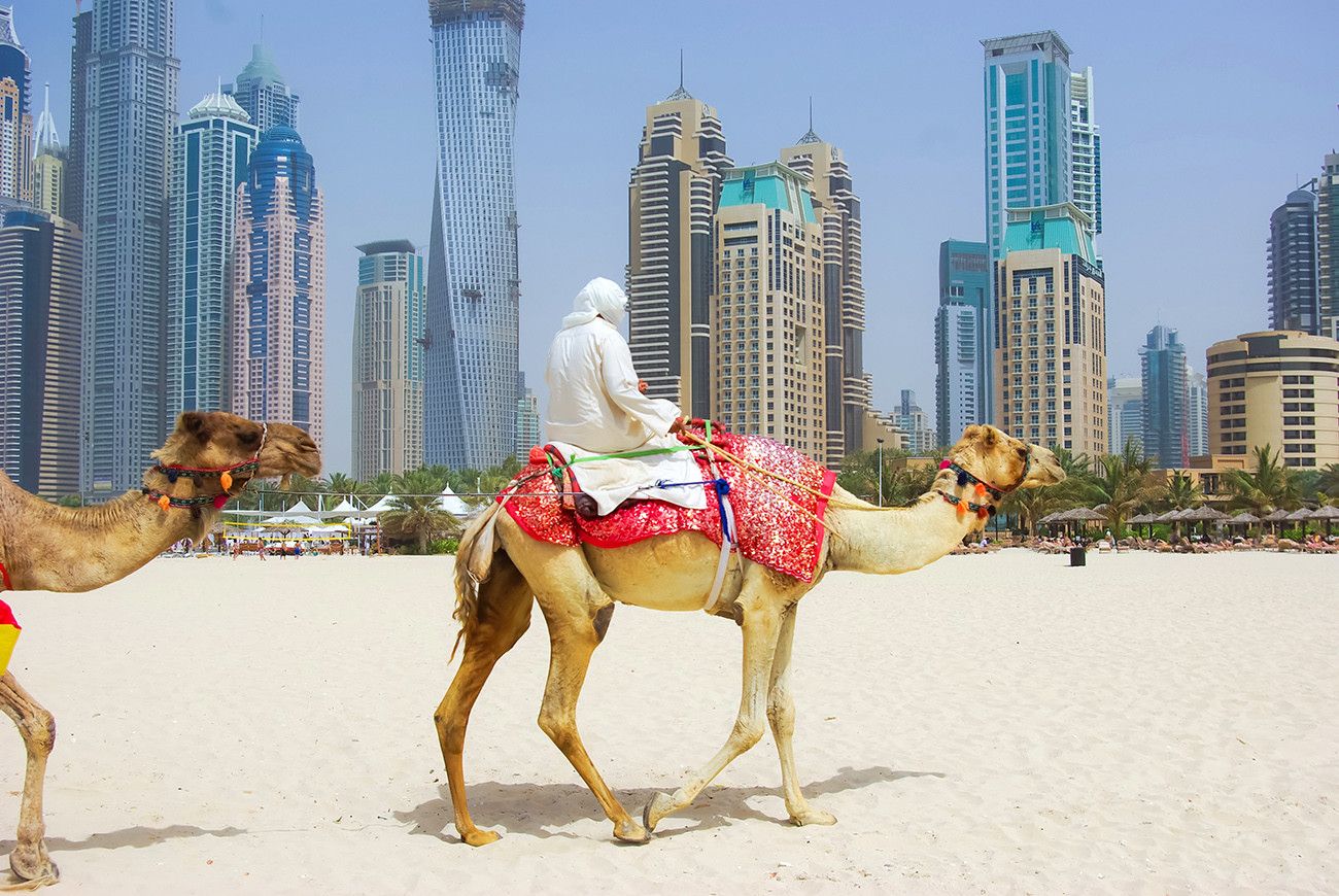 Pessoa em camelo no deserto