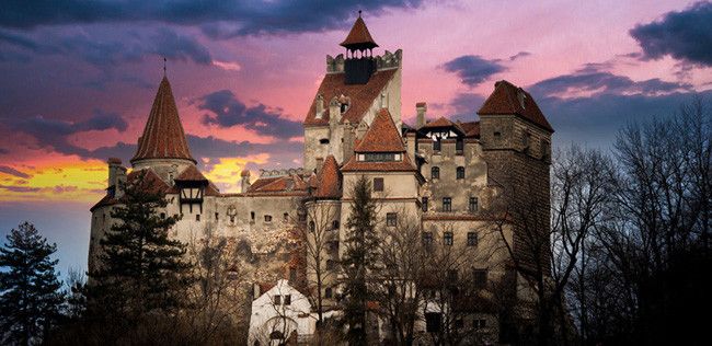 Pessoa em camelo no deserto