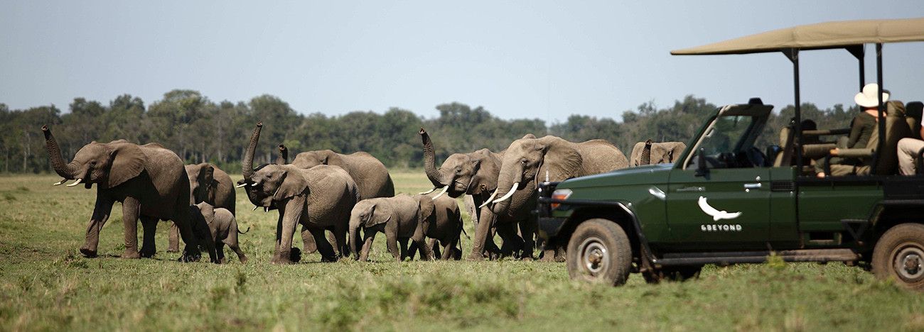 Safari Fly to me Masai Mara