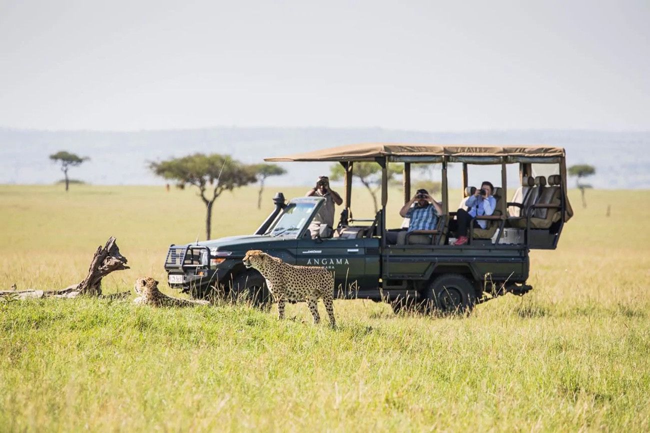 Safari Deluxe em Angama Mara