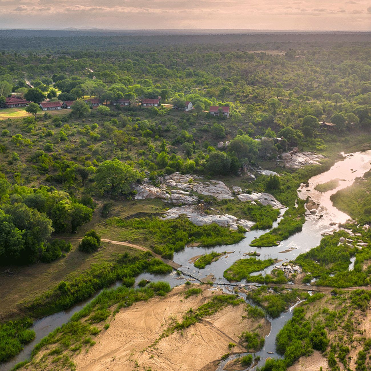 Table Mountain, Vida Selvagem e Victoria Falls