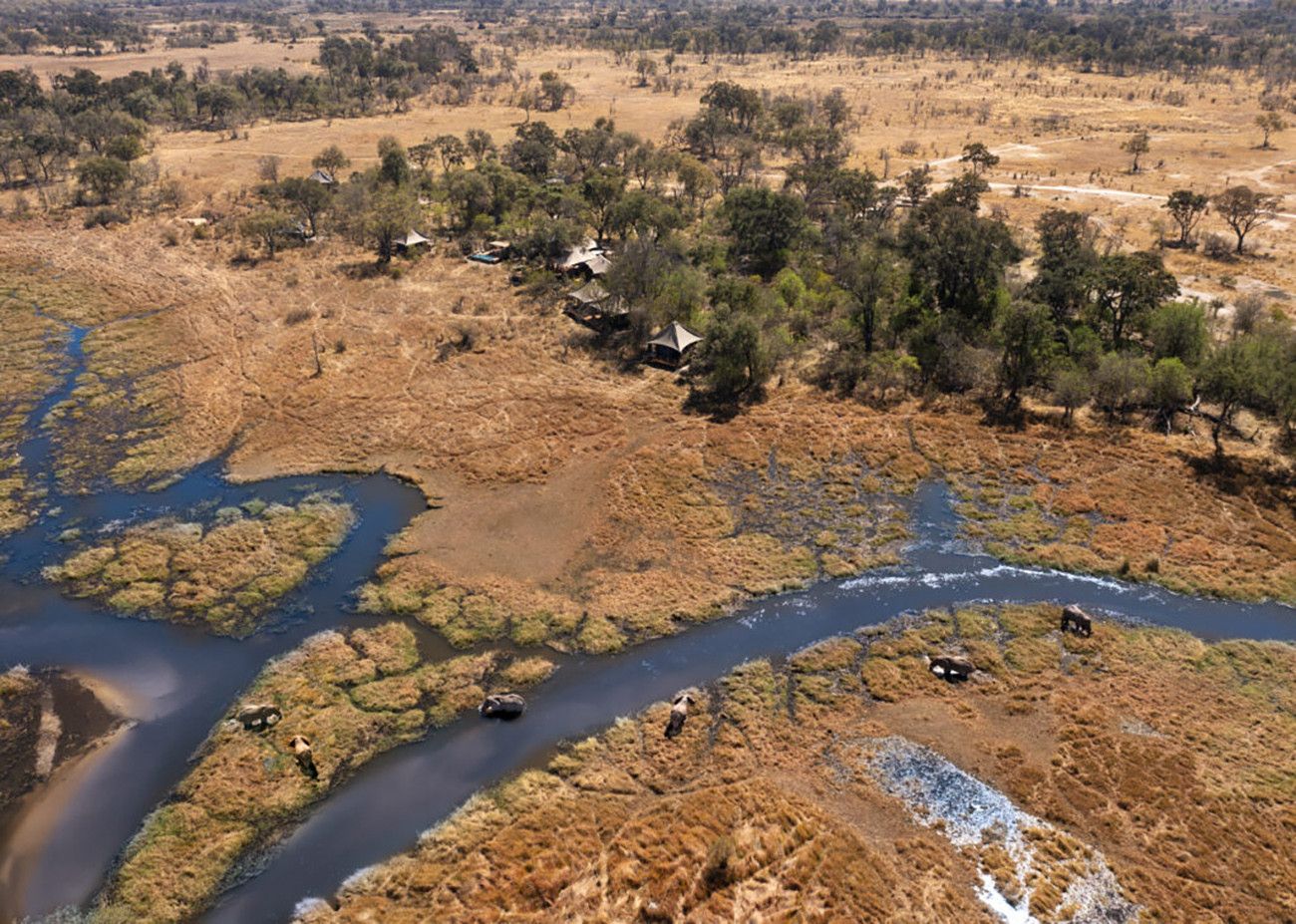 Safari de Luxo em Cataratas Vitória e Delta do Okavango
