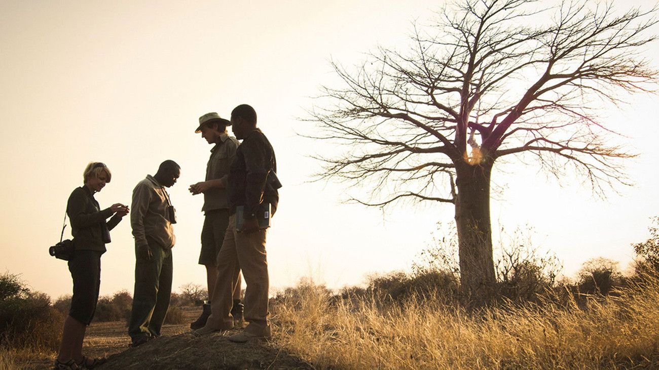 Pessoa em camelo no deserto