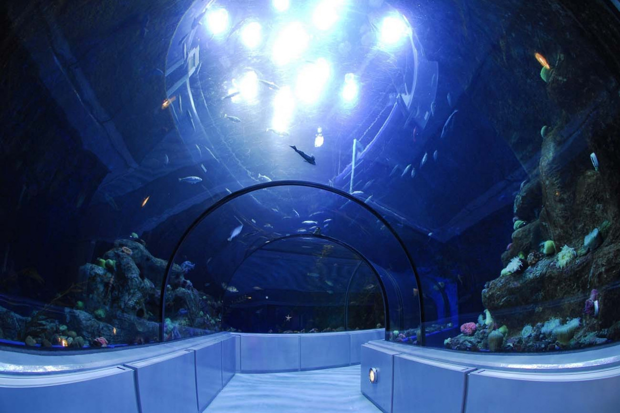 Túnel do Aquarium de Québec