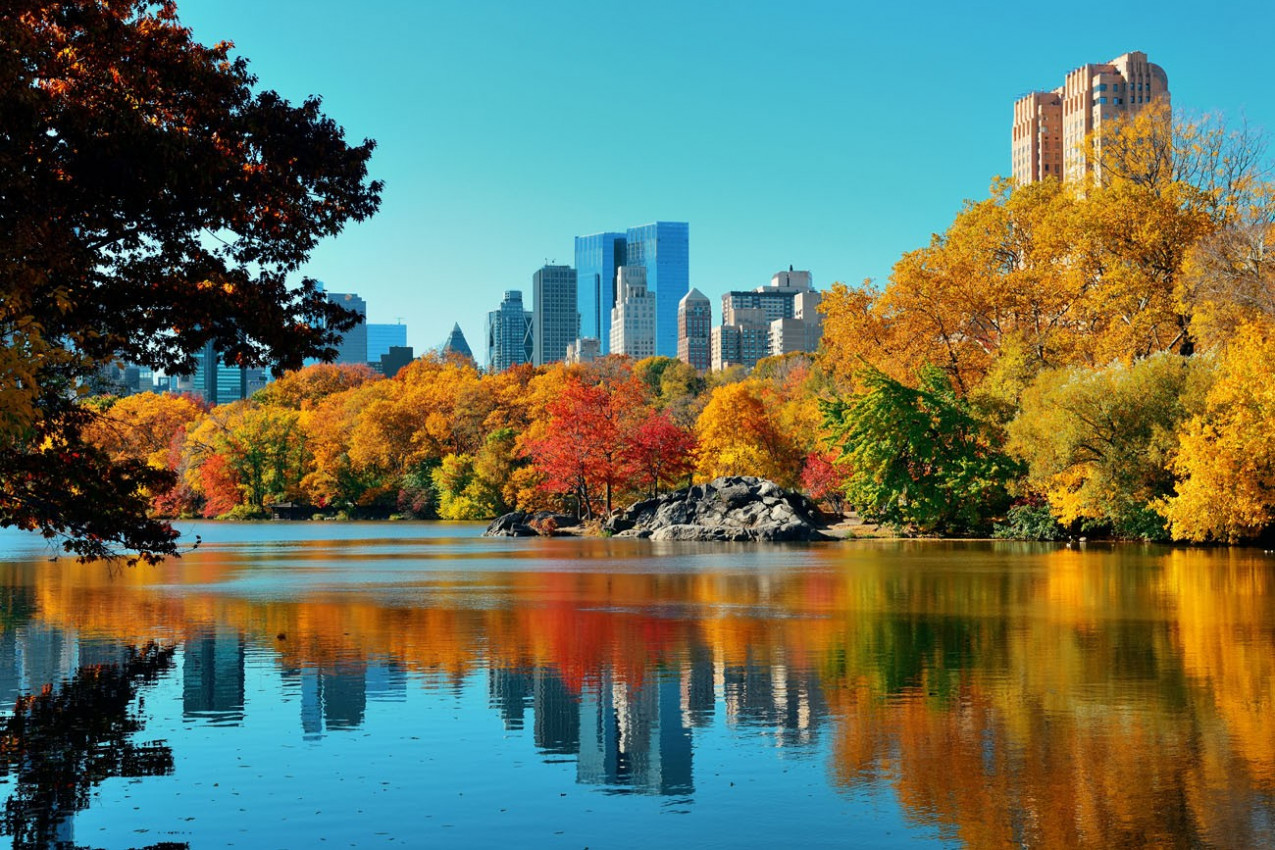 Central Park Estados Unidos