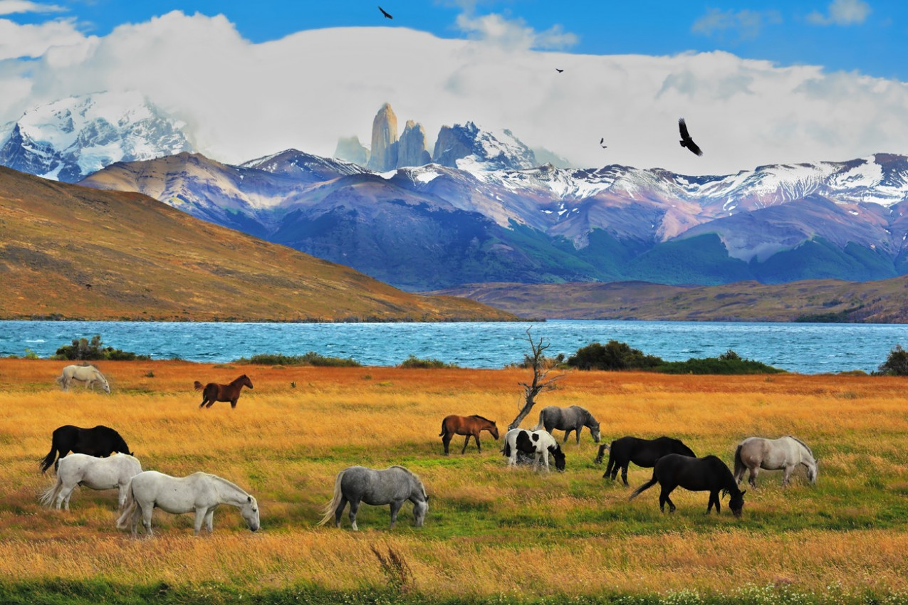 Lagoa Azul no Parque Nacional de Torres del Paine na Patagônia Chilena