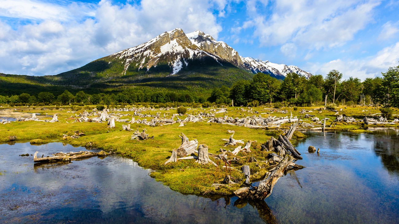 Buenos Aires & Ushuaia