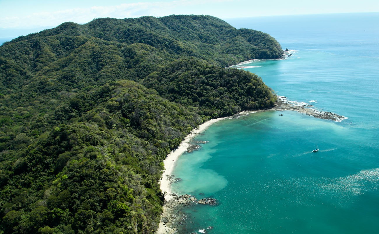 Pura Vida Todo Pacifico