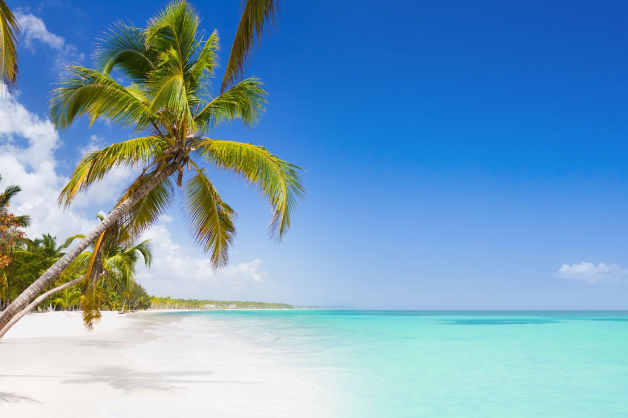 Tropical beach as a wild nature scenery in Punta Cana, Dominican Republic