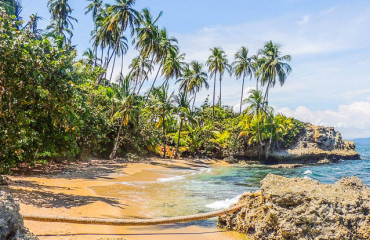 gandoca manzan illo - Bocas del Toro